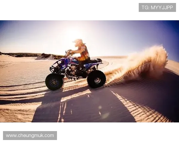 成都极限运动队实力全面解析与对比分析