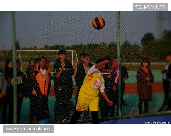 武汉排球队在联赛中的耐力展现与战术分析